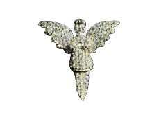 ANGEL EARRING